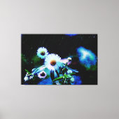 Asters Aglow Wrapped Canvas Prints (Voorkant)