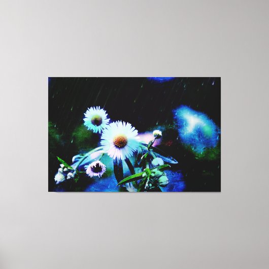 Asters Aglow Wrapped Canvas Prints (Voorkant)