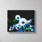 Asters Aglow Wrapped Canvas Prints (Voorkant)