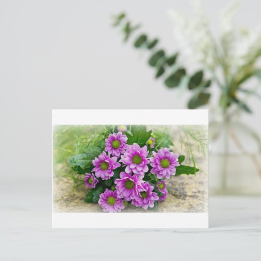 Asters briefkaart (Staand voorkant)