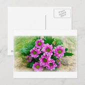 Asters briefkaart (Voorkant / Achterkant)