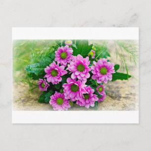 Asters briefkaart
