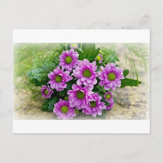 Asters briefkaart (Voorkant)