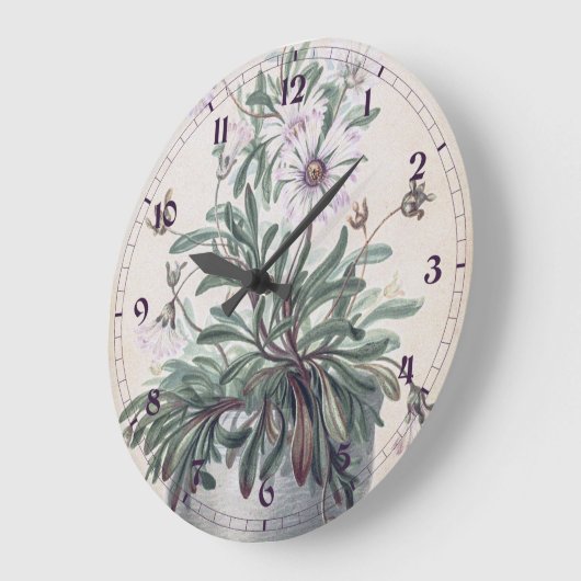  Asters in a Pot Grote Klok (Hoek)