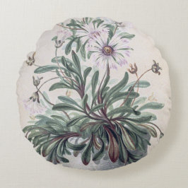  Asters in a Pot Rond Kussen