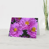 Asters in volle bloei Blank Kaart (Voorkant)