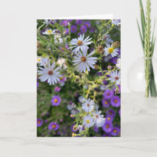 Asters Kaart