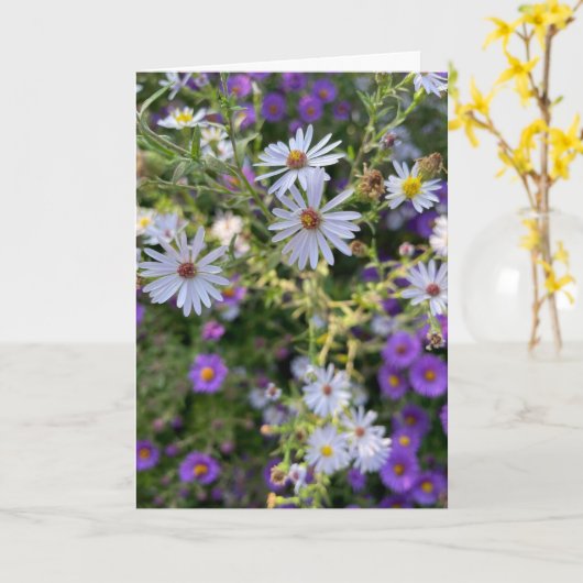 Asters Kaart (Gele Bloem)