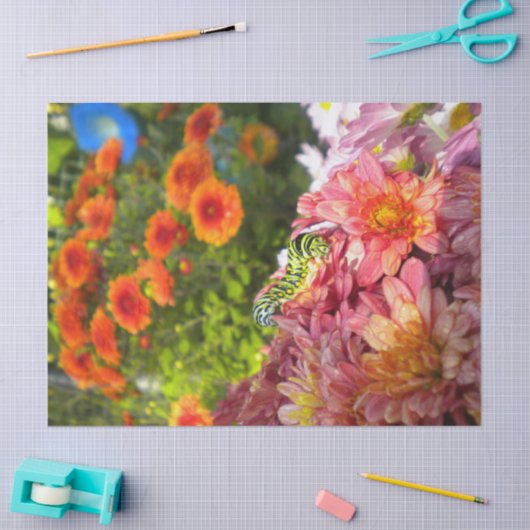 Asters met een derde pijler tissuepapier (Craft)