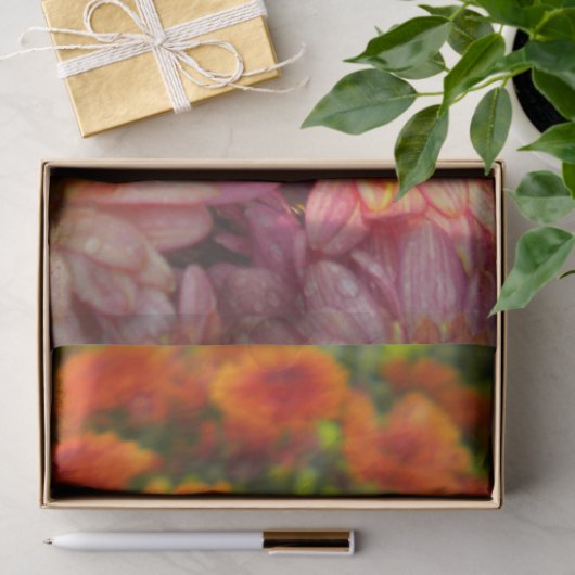 Asters met een derde pijler tissuepapier (Geschenk)