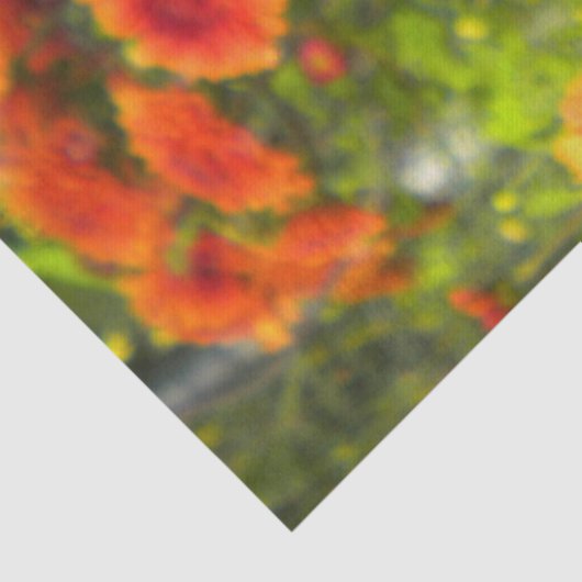 Asters met een derde pijler tissuepapier (Detail)