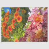 Asters met een derde pijler tissuepapier (Voorkant)