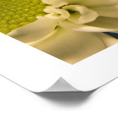 Asters Poster (Hoek)