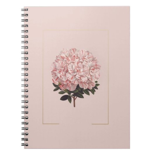 asthetische dagboek notitieboek (Voorkant)