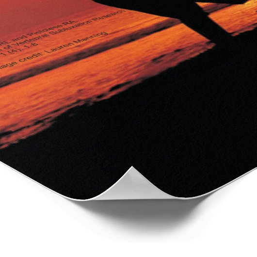 Asthmatische Kinderen onder Chiropraktijkzorg Poster (Hoek)