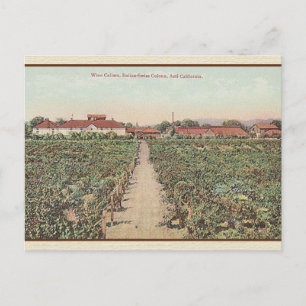 Asti California Wine Cellars Post Card Briefkaart
