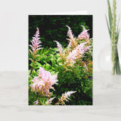 Astilbe Bedankkaart (Voorkant)