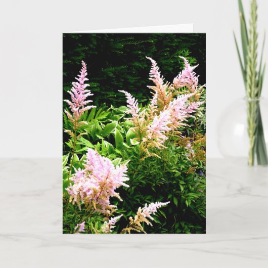 Astilbe Bedankkaart (Voorkant)