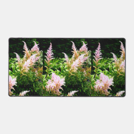 Astilbe Bureaumat