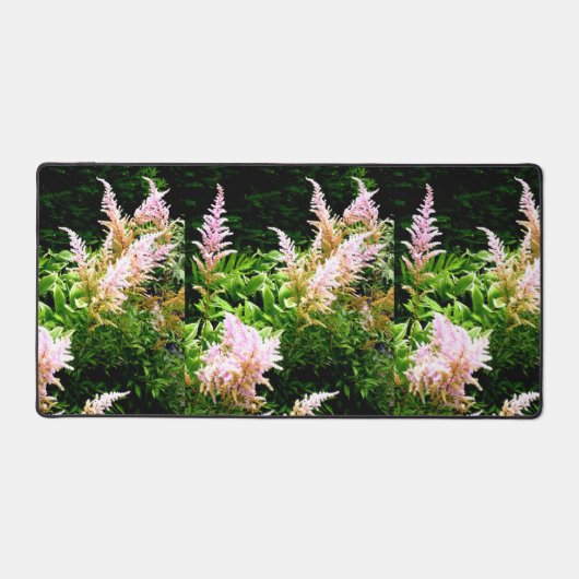 Astilbe Bureaumat (Voorkant)