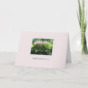 Astilbe Flowers お 日 お め 生 Kaart