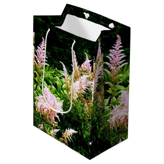 Astilbe Medium Cadeauzakje (Voorkant Gekanteld)