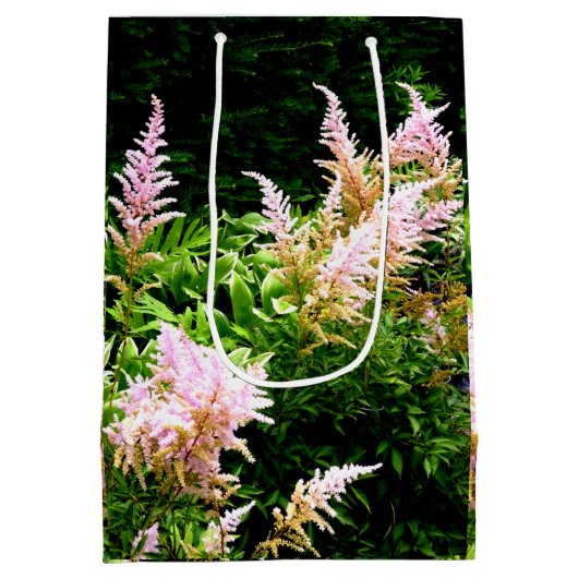 Astilbe Medium Cadeauzakje (Achterkant)