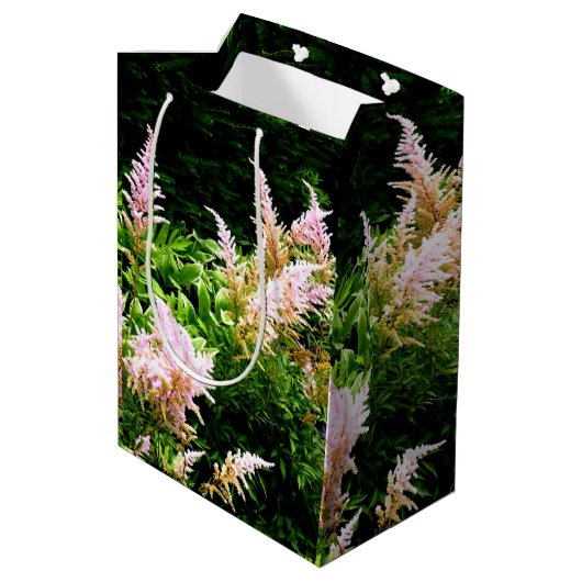 Astilbe Medium Cadeauzakje (Achterkant Gekanteld)