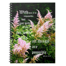 Astilbe met Mark 10:27