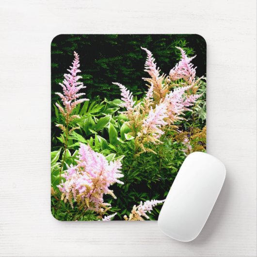Astilbe Muismat (Met muis)
