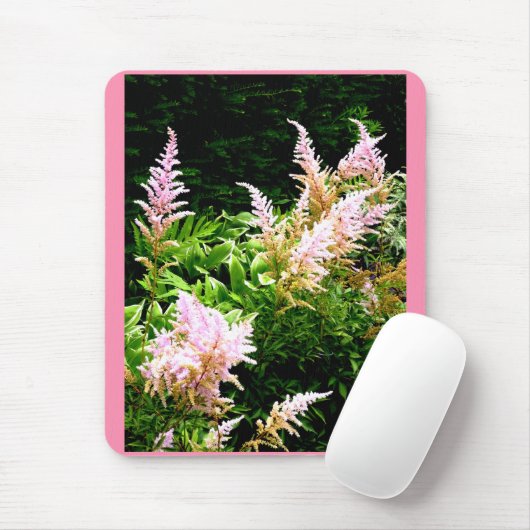 Astilbe Muismat (Met muis)