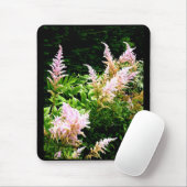 Astilbe Muismat (Met muis)