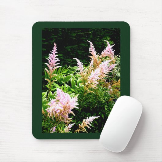 Astilbe Muismat (Met muis)