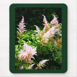 Astilbe Muismat