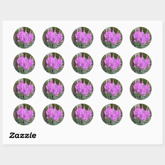 Astilbe ~ sticker (Vel)