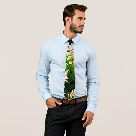 Astilbe Stropdas (In situ)