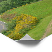 Astoria, Oregon Poster (Hoek)