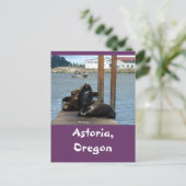 Astoria Oregon Sealions Briefkaart (Staand voorkant)