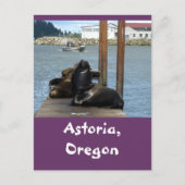 Astoria Oregon Sealions Briefkaart (Voorkant)