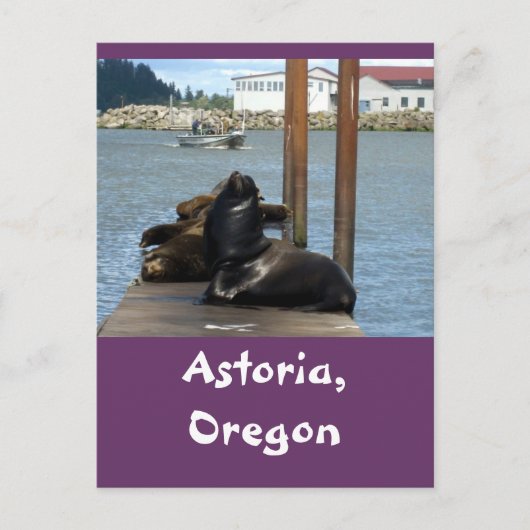 Astoria Oregon Sealions Briefkaart (Voorkant)