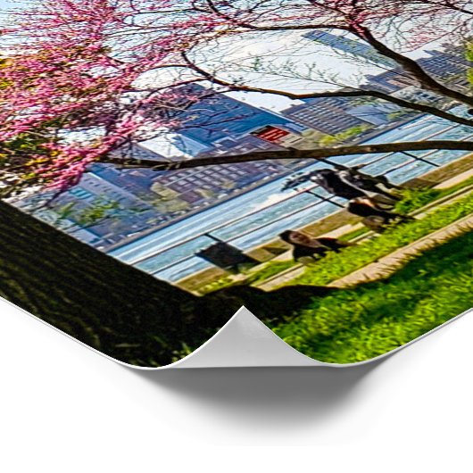 Astoria Park Foto Poster (Hoek)