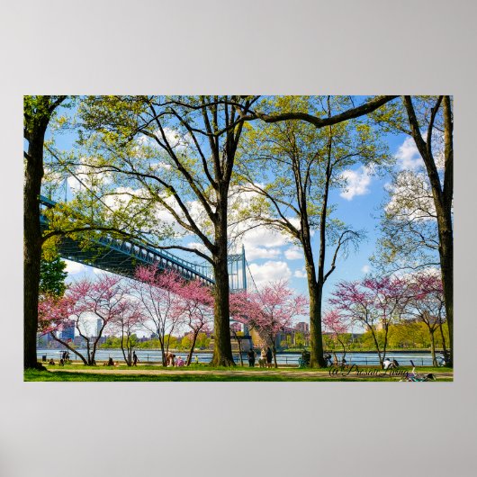 Astoria Park Foto Poster (Voorkant)