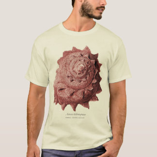 Astraea heliotropium t-shirt