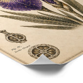 Astral Iris Victoriaans Botanisch Museum Print (Hoek)