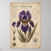 Astral Iris Victoriaans Botanisch Museum Print (Voorkant)