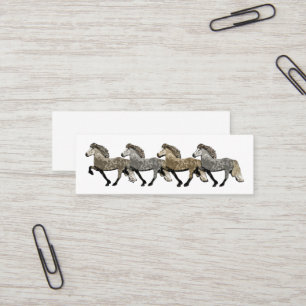 Astrid IJslandse paarden Mini Visitekaartje