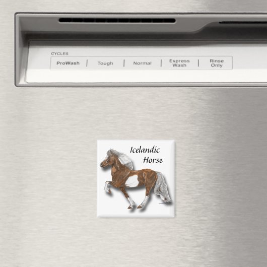 Astrid Magneet (Insitu (Vaatwasser))