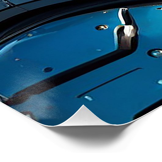 Astro Fox Perfect Poster (Hoek)