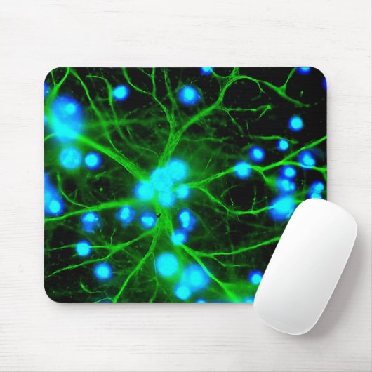 Astrocyte zijn stervormige glazen cellen in de her muismat (Met muis)