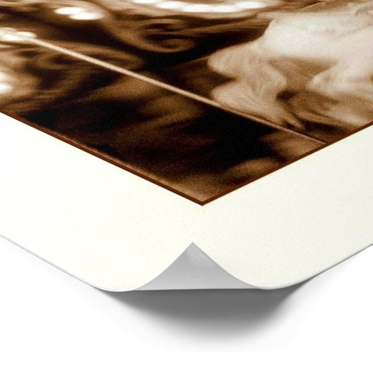 Astroland Carousel Poster (Hoek)